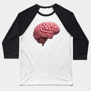 Scientific Human Brain Study Baseball T-Shirt